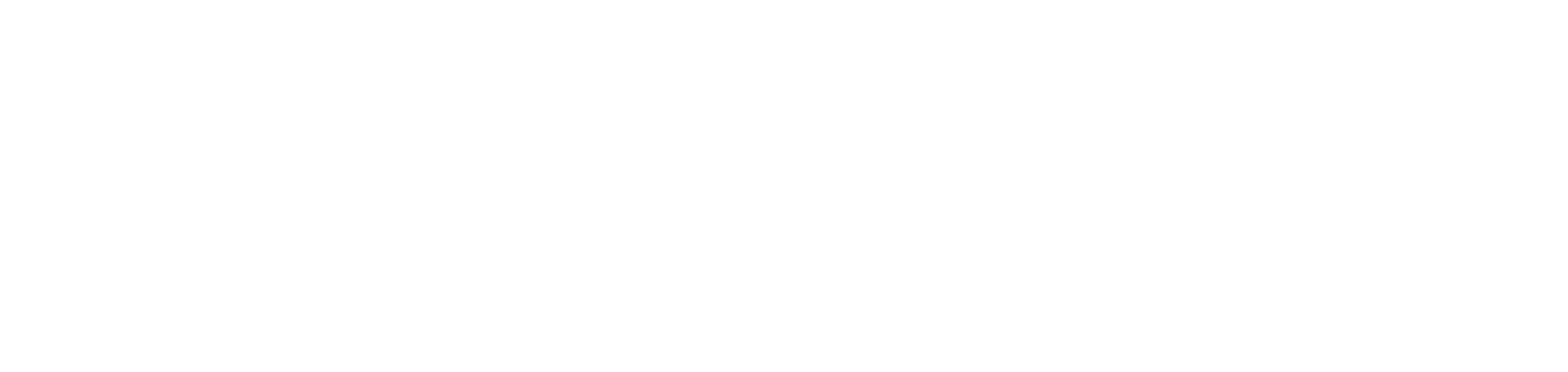 Revista Especialistas